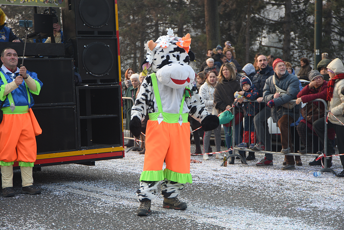 Sfilata carri Carnevale di Torino_247.jpg